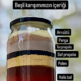 Beşli karışım (propolis -arı sütü-perga-polen bal