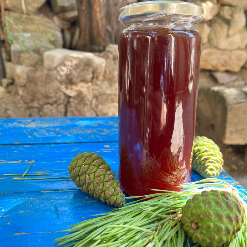 Kozalak şurubu 500ml